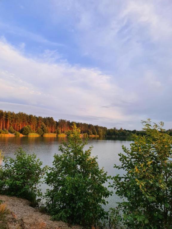 Rokitki  Agroturystyka U Siwego מראה חיצוני תמונה