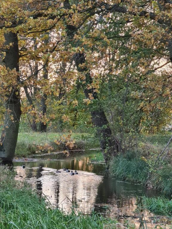 Rokitki  Agroturystyka U Siwego מראה חיצוני תמונה